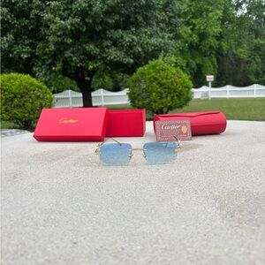 Cartier Blue and Gold Men's Sunglasses